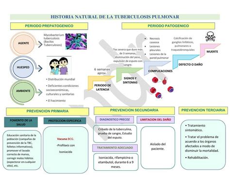 Historia Natural De La Tuberculosis Pulmonar Chikungunya Tétanos