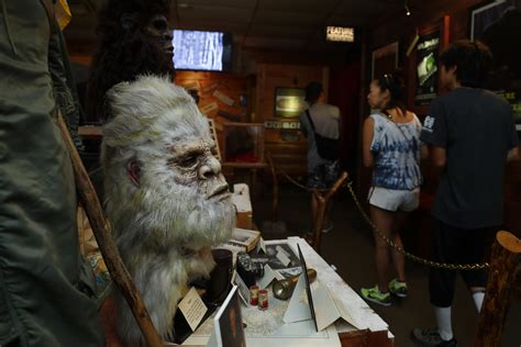 Roadside Bigfoot Georgia Museum Devoted To Legendary Beast