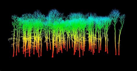 terrestrial laser scanners collect forest data  awesome