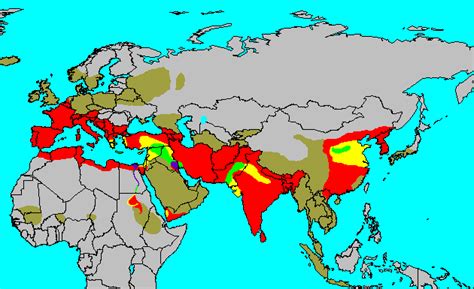 Map Of The World 1000 Ad Map Of Western Hemisphere