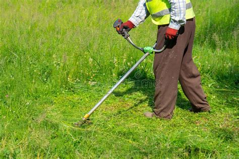 The Gardener Cutting Grass By Lawn Mower Lawn Care Stock Photo Image