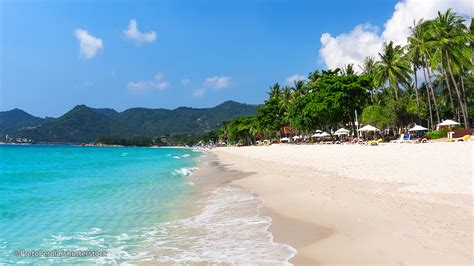 Koh Samui Beaches Chaweng Beach Lamai Beach Bophut And