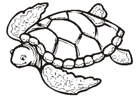 Have lots of coloring fun with the coloring book pages of animal. Free Printable Turtle Coloring Pages For Kids