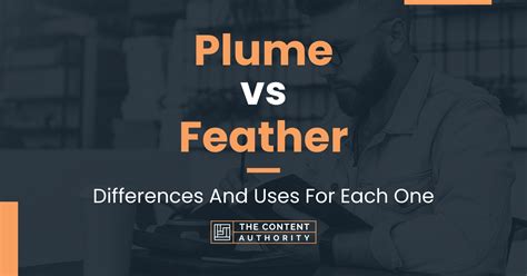Plume Vs Feather Differences And Uses For Each One