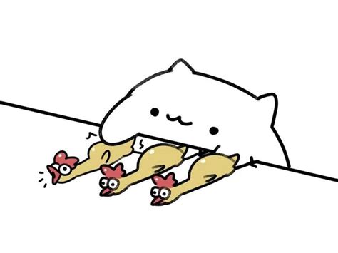 Bongo Cat Is Now So Much More Than A Cat Playing The Bongos Guernsey