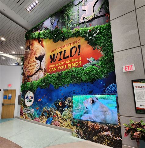 Akron Zoo Unveils Animal Themed Wall Installations At Akron Canton