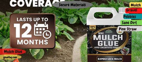 Mulch Glue Reviews How To Make Mulch Glue 2024