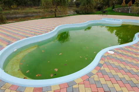 Cloudy Green Foamy What The Water In Your Pool Is Telling You And How