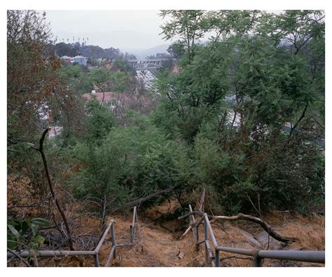 Ruins Near Chavez Ravine Sandra De La Loza