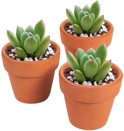 Wholesale Cheap Garden Mini Succulent Plants Terracotta Flower Pots