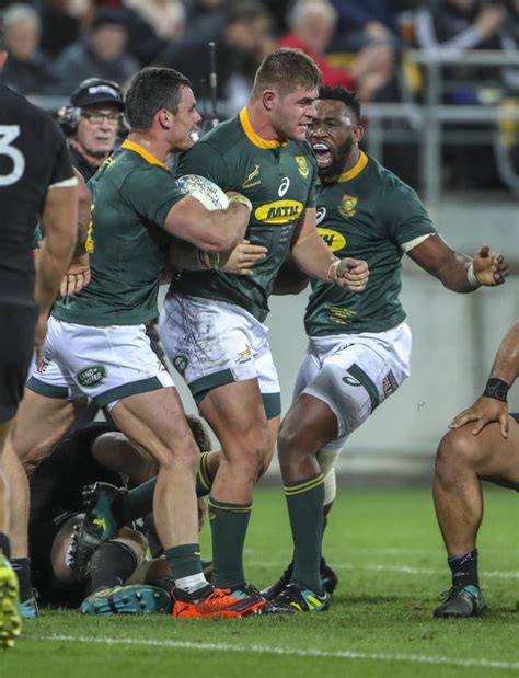 Springboks Dismantle Shocking All Blacks Rugby Hot Sex Picture