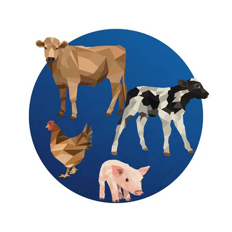 Poultry Archives - 4Mix International