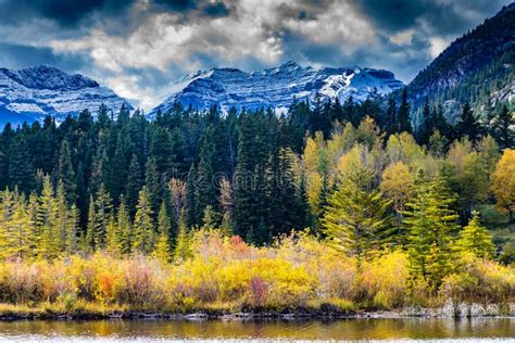 Fall Colours Around Vermillion Lakes Banff National Park Alberta
