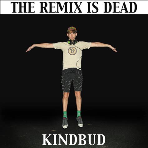 the remix is dead single by kindbud spotify