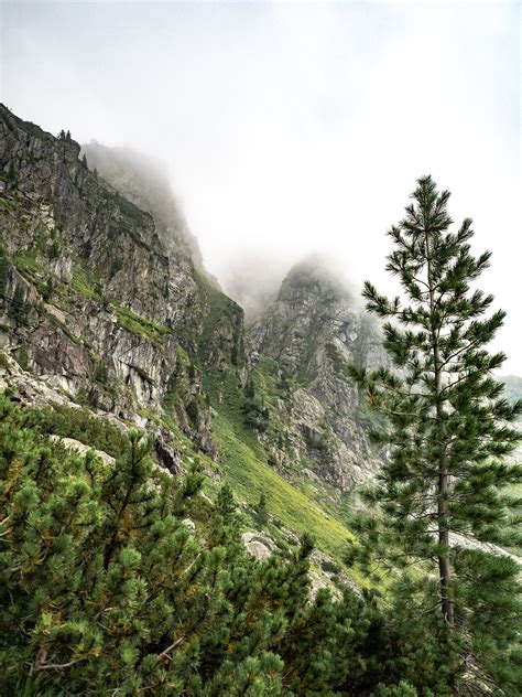 Definitive Guide To Hiking Morskie Oko And Czarny Staw In Zakopane Poland — Adrift Aesthetic