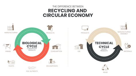 The Vector Infographic Diagram Of The Difference Between The Circular