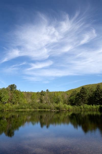 Nature Landscape Clouds Sky Pond Water Trees Summer Free Stock Photos