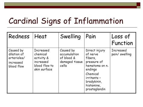 Cardinal Signs Of Inflammation Diagram Quizlet