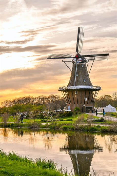 Windmills In Amsterdam Worth A Visit For Beautiful Pictures