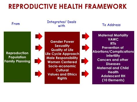 Reproductive Health And Responsible Sexuality By Darleen Estuart