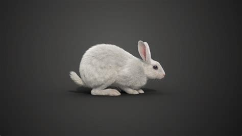 Artstation White Rabbit Animated Vfx Grace Game Assets