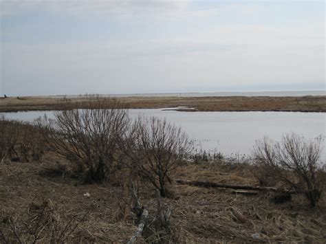 Monomoy National Wildlife Refuge Wetlands Along The Morris Flickr