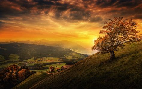 обои Солнечный лучик Деревьями пейзаж закат солнца Холм природа