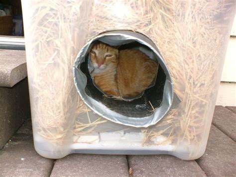 Cat Houses For Outside For Winter The Very Best Cats Outdoor Cat