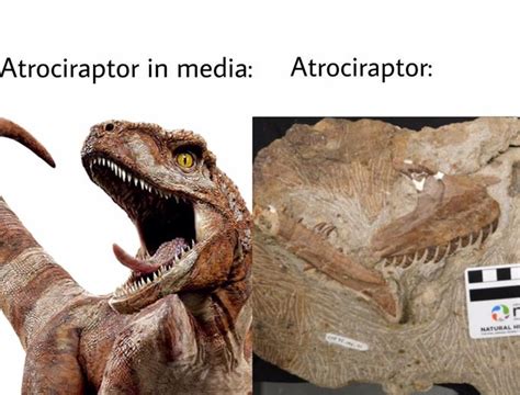 Atrociraptor Jurassic World Vs Fossil Jurassic Park Know Your Meme