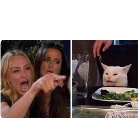 Yelling Woman Cat Meme Generator Meme Generator