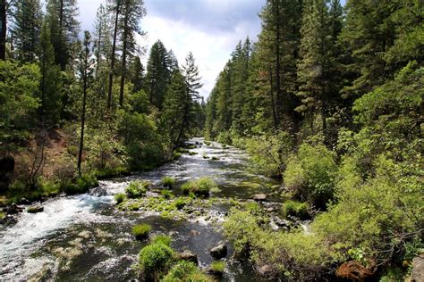 Mcarthur Burney Falls A Mesmerizing Waterfall In Northern California