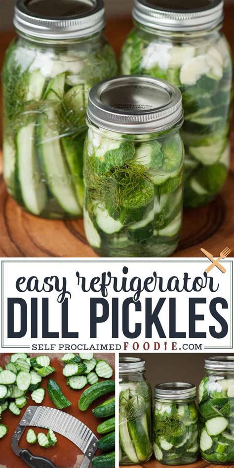 Easy Refrigerator Dill Pickles Recipe Video Crisp And Delicious