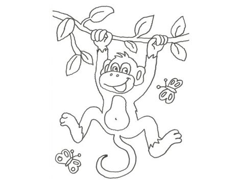 Dibujos De Monos Para Colorear Descargar E Imprimir Colorear Imágenes