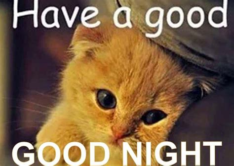 50 Good Night Memes And Images to Enjoy Your Day - LittleNivi.Com