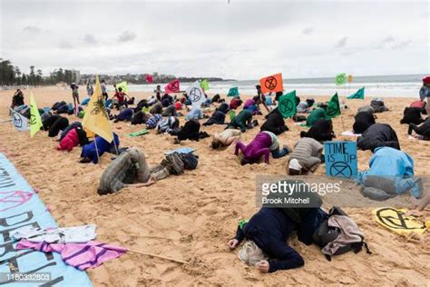 Bury Head In Sand Photos And Premium High Res Pictures Getty Images