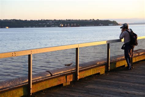 Grief Recovery - Evolution Counseling