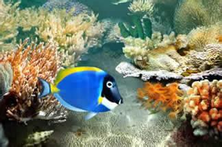 Maka berakhirlah kehidupan seorang raja takbur yang mati akibat serangan seekor nyamuk yang kecil. Sejernih Air: ~Jadilah seperti Ikan di laut masin~