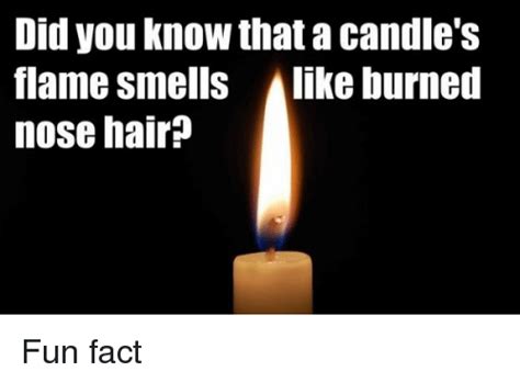 Hmmm Interesting Yuck Candle Flames Candle Smell Smelling Did