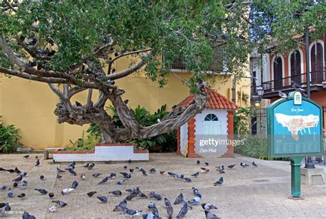 Parque De Las Palomas In Old San Juan Puerto Rico High Res Stock Photo