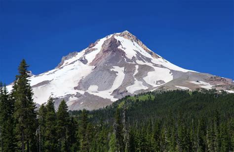 Mount Hood In Oregon Stock Image Image Of Landscape 47714017