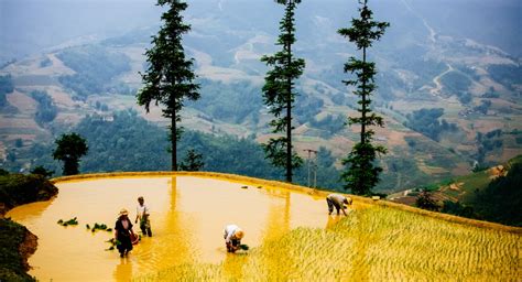 Travel in the north of vietnam, travel tips, useful informations, maps, transport, interesting places and more. Sapa | Vietnam Tourism