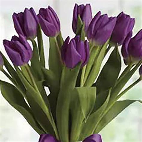 Online 10 Purple Tulip Arrangement T Delivery In Singapore Ferns N