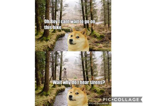 Le Traumatic Hiking Experience Has Arrived Rdogelore Ironic Doge