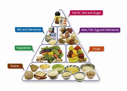 Balanced Diet Groups Main Health Adult Plan
