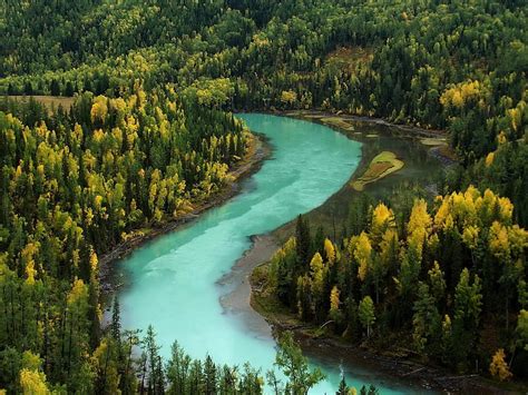 青い川と緑の森、 木、 秋、 川、 ベンド、 青い水、 山、 Hdデスクトップの壁紙 Wallpaperbetter