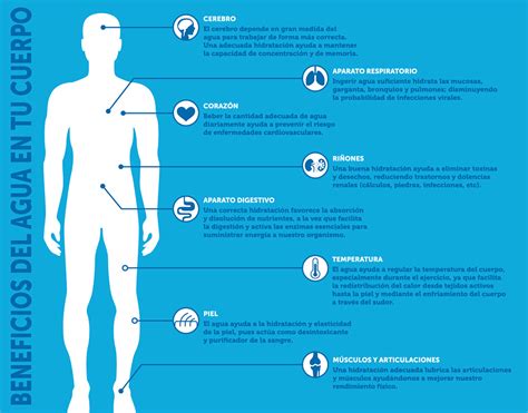 Importancia Del Agua En La Nutrición Y Tipos De Agua Maia Orgánicos