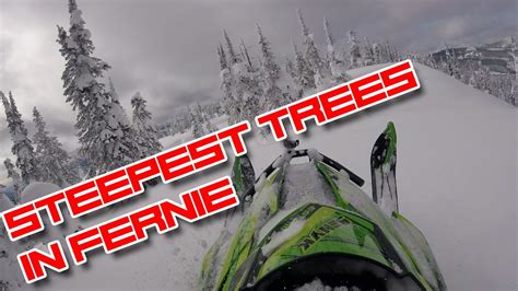 Snowmobiling The Steepest Trees In Fernie Youtube