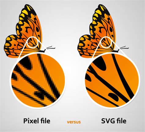 What Is An SVG File Knowledge Base ViaVector Supersize Your Logo