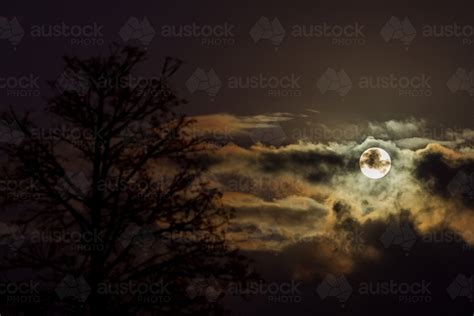 Image Of Spooky Full Moon And Flame Tree Austockphoto