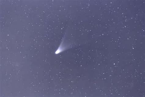 Look To Sky Tonight As Comet Makes Appearance In Northern Hemisphere